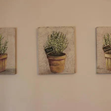 Stella Azzurra * 雷卡纳蒂港