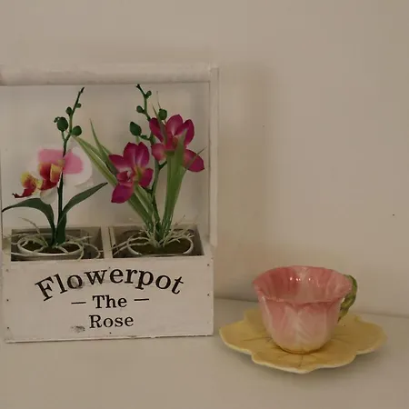 公寓 Stella Azzurra