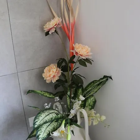 Stella Azzurra Porto Recanati